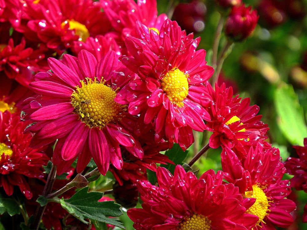 Photograph by Фартушняк Сергей