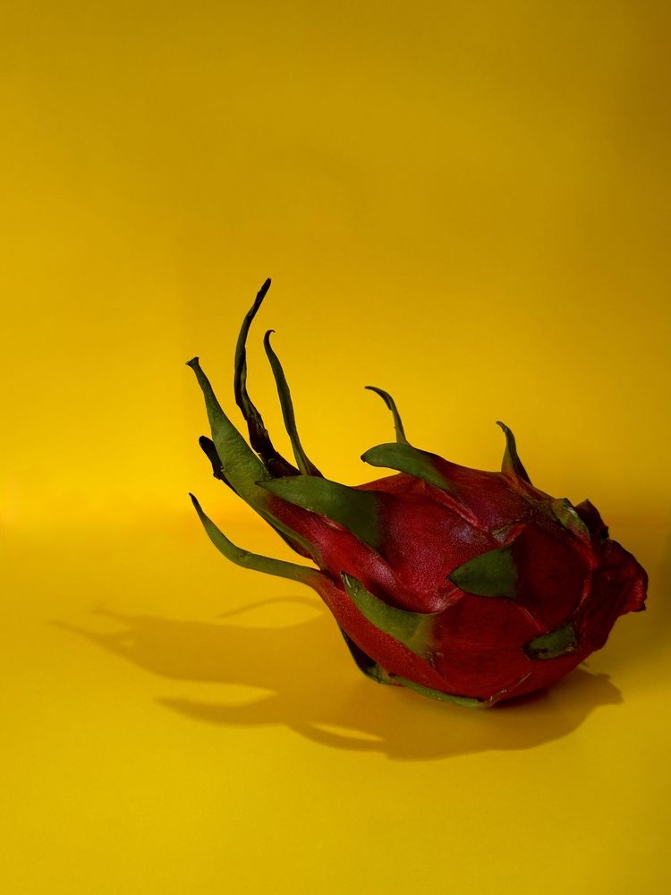 Photograph by Ксения Юртаева