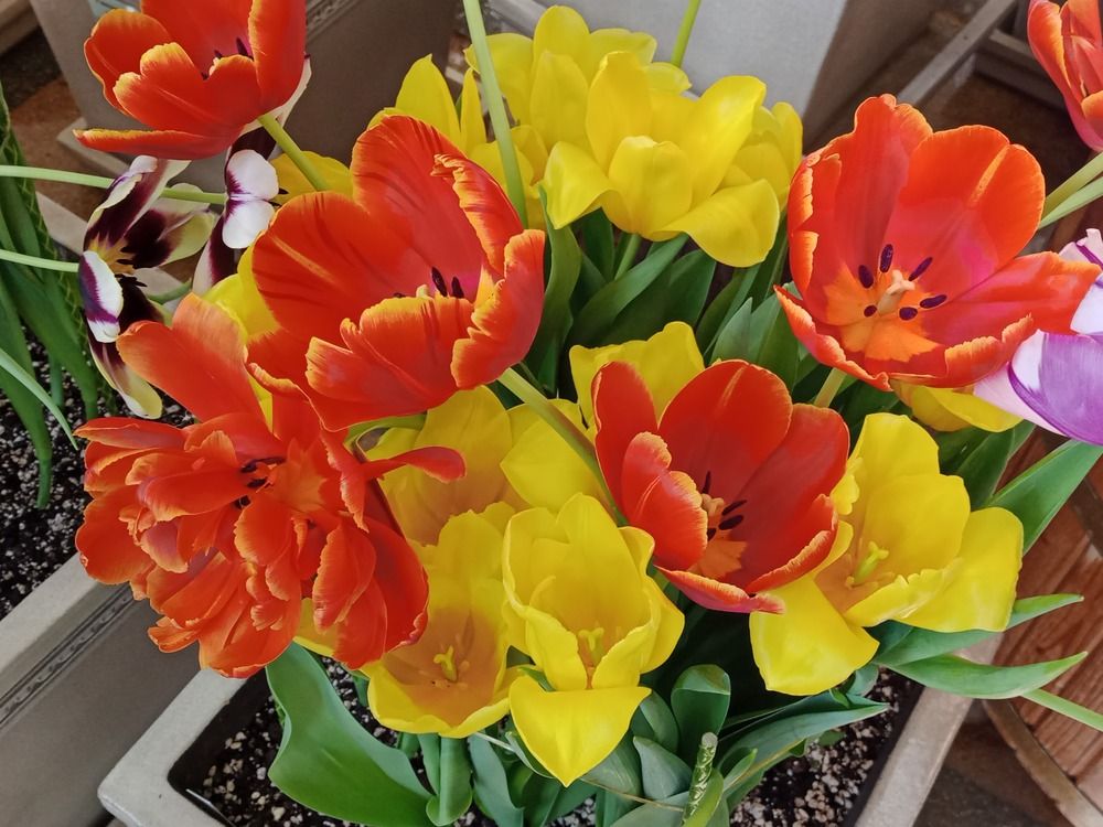 Photograph by Sergey Kurkov-Tarkovsky