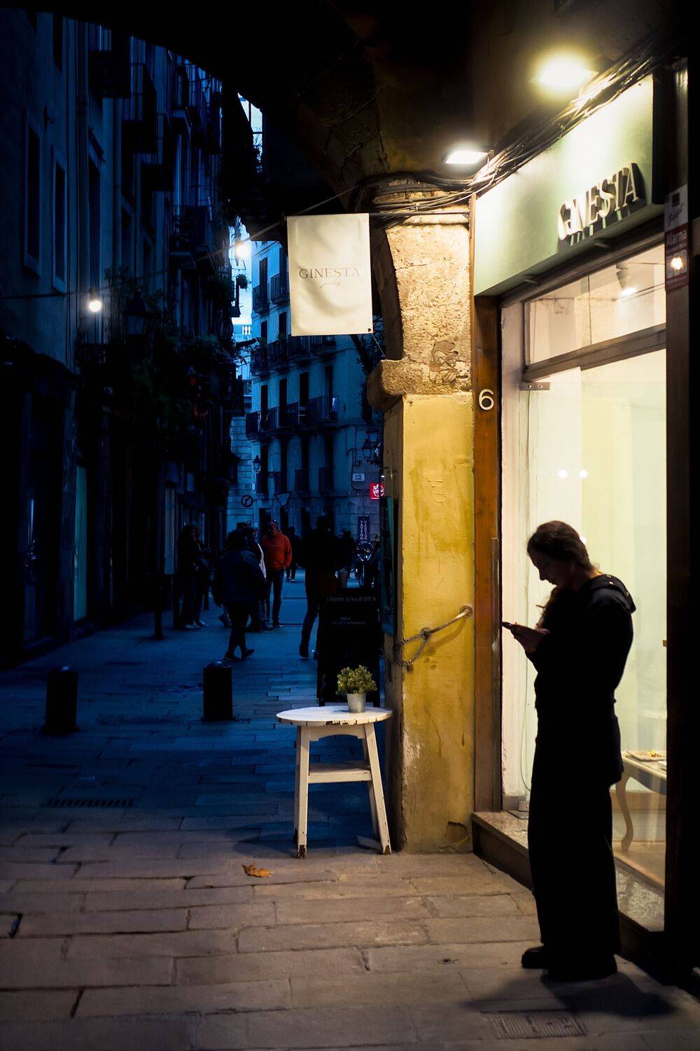 Checking the Shopping List