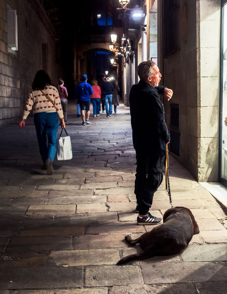 Is It Bedtime Already