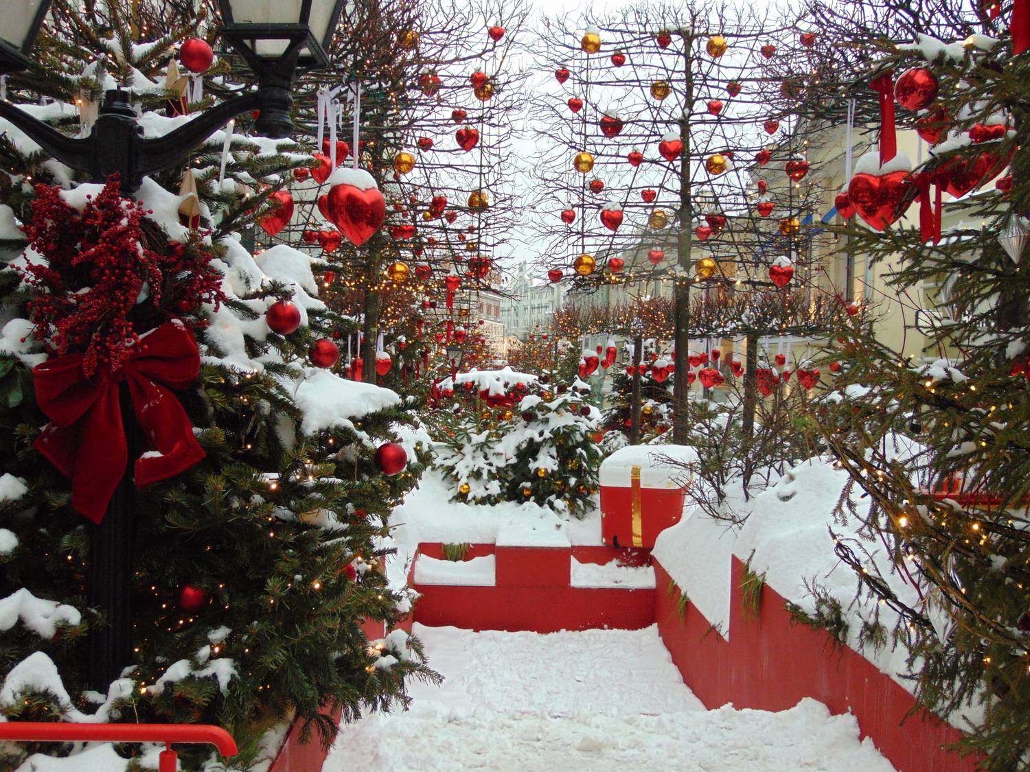 Фотография #13435418