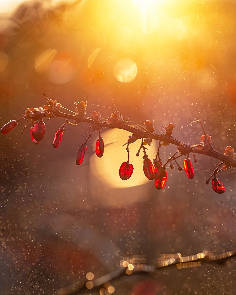 Photograph by Andrey Sosnovsky