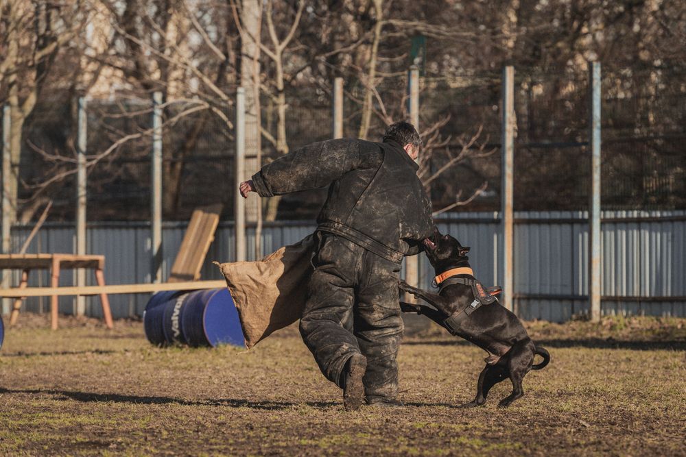 Photograph by Ольга Тенилова