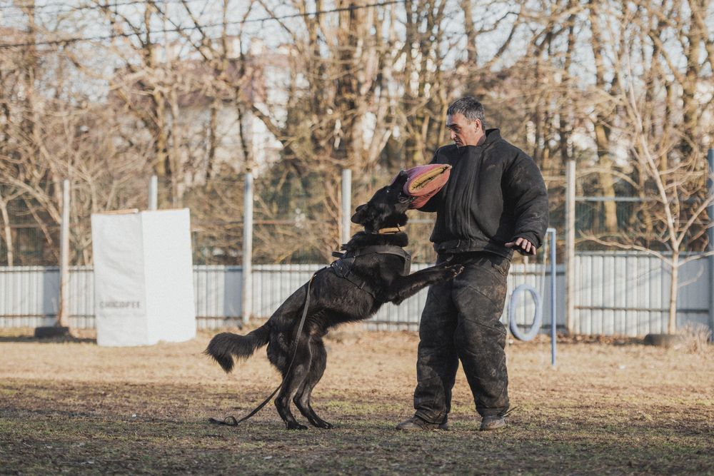 Photograph by Ольга Тенилова