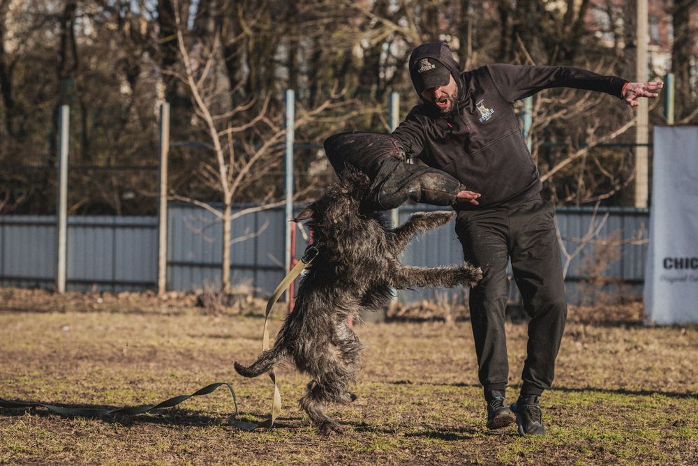 Photograph by Ольга Тенилова