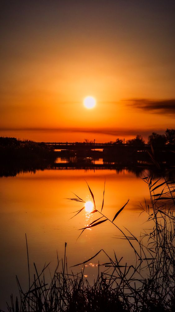 Photograph by Alina Orlova