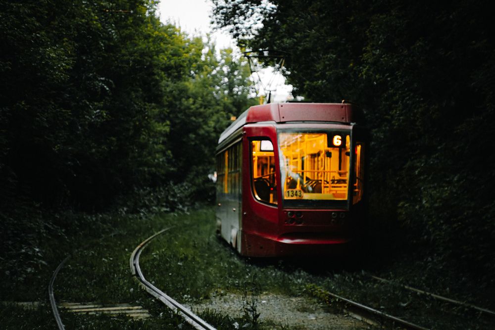Photograph by Алексей Болотов