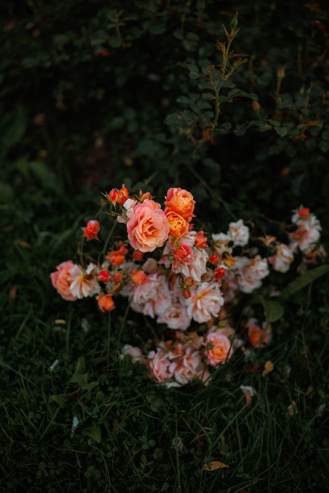Photo #13435605