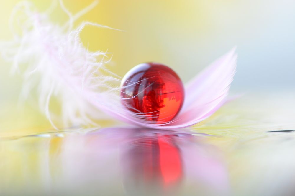 Photograph by Виктория Кос