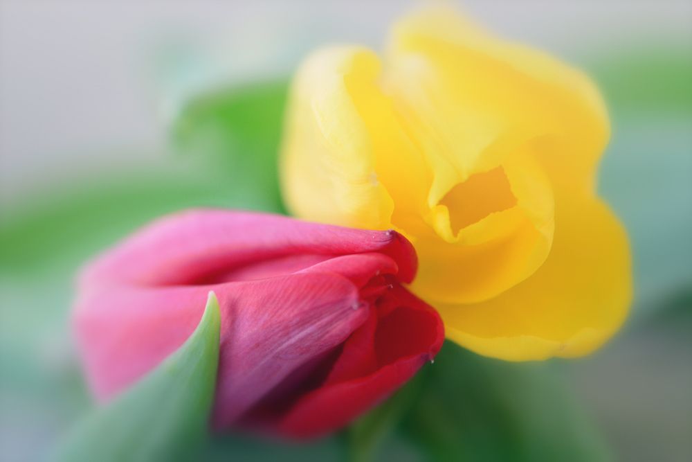 Photograph by Виктория Кос