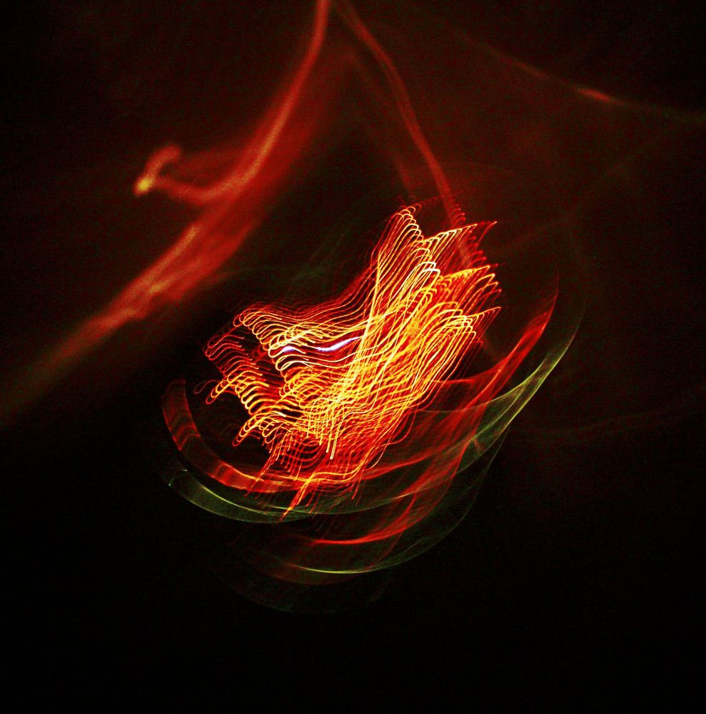 Photograph by Milivoj Šegan