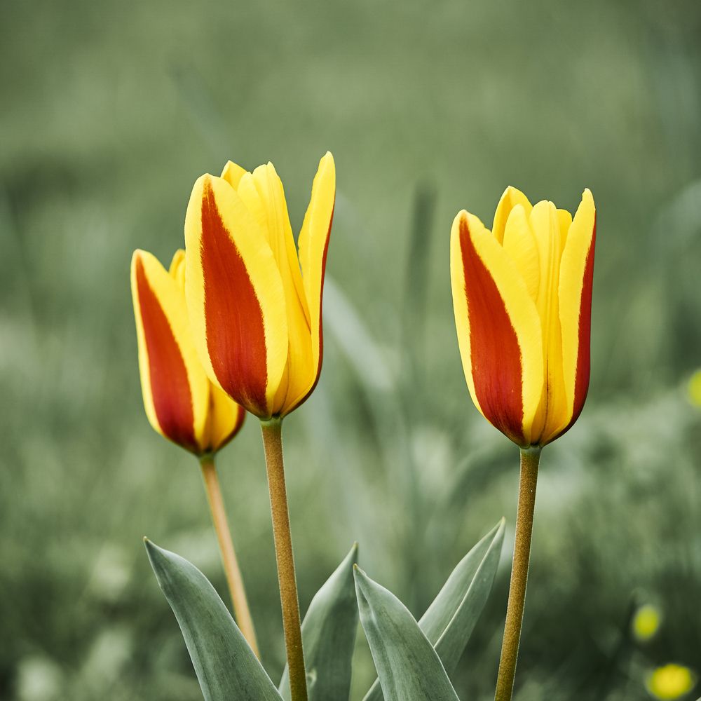 Photograph by Natalie Liedtke