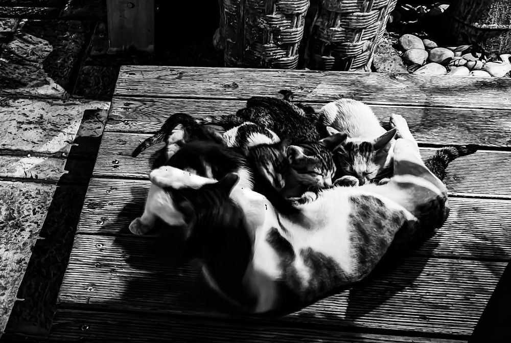 Photograph by Alexandra Kontodima