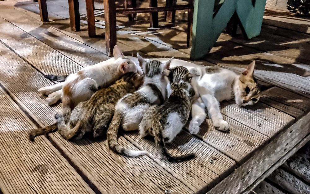 Photograph by Alexandra Kontodima