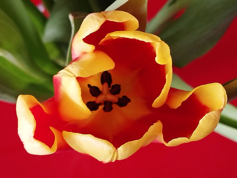 Photograph by Jasna Dragun