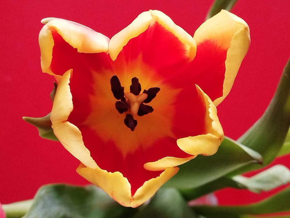 Photograph by Jasna Dragun