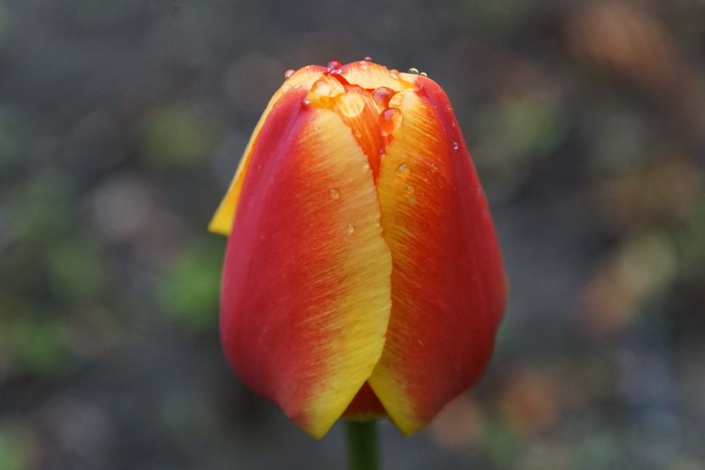 Photograph by сергей мишаков