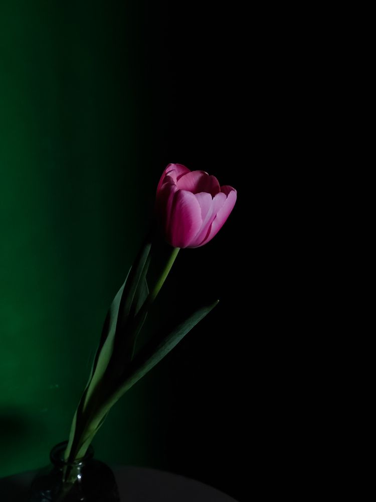 Photograph by Алиса Исаева