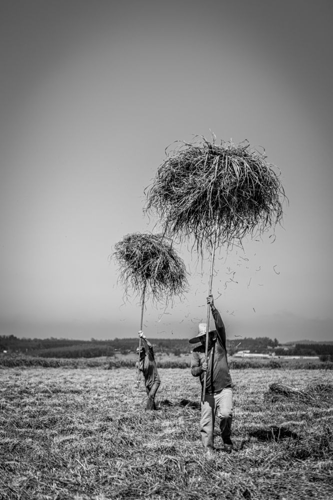 Photograph by Leopoldo Vasselo Sorrila