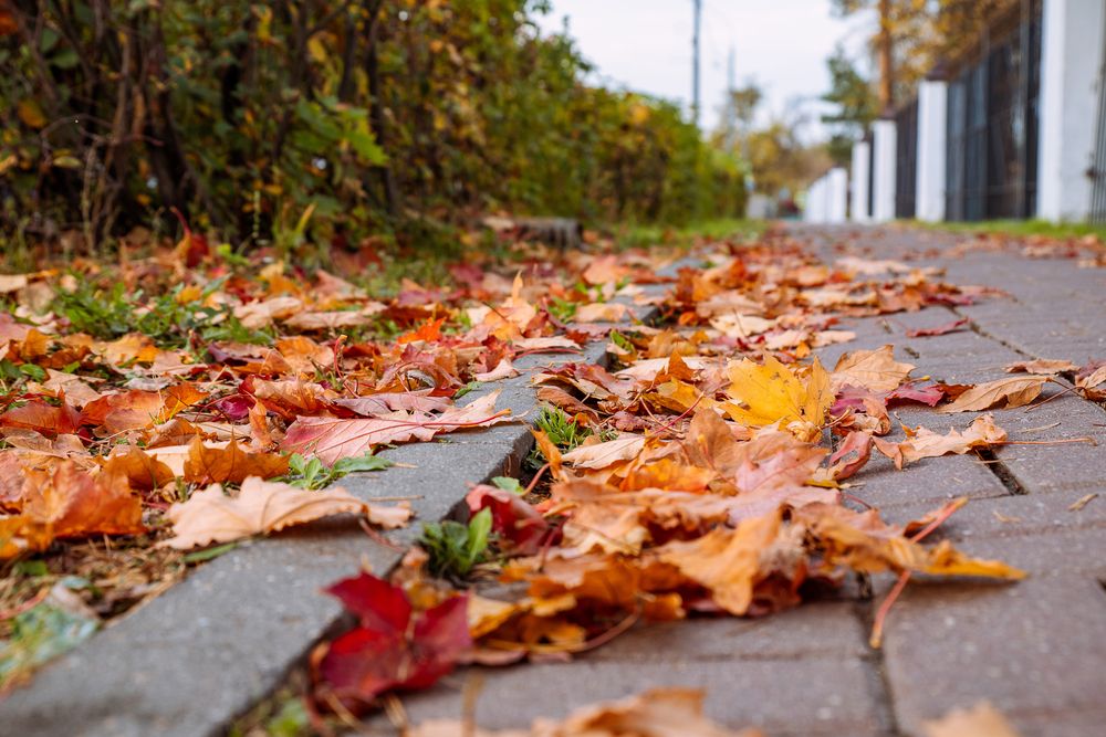 Photograph by Марина Горелова-Кузнецова