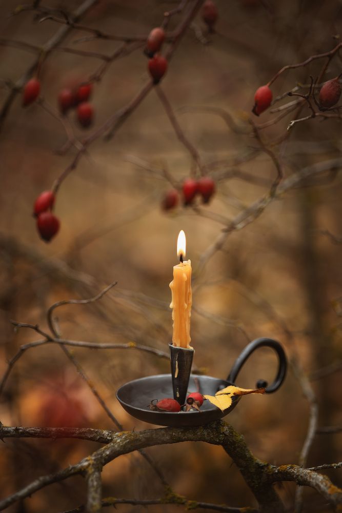 Photograph by Елена Косинова