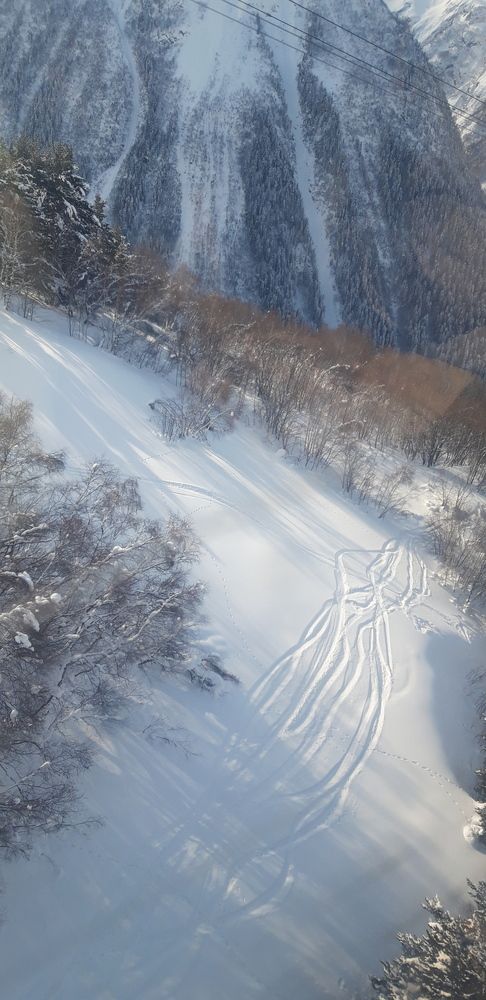 Photo #13436166