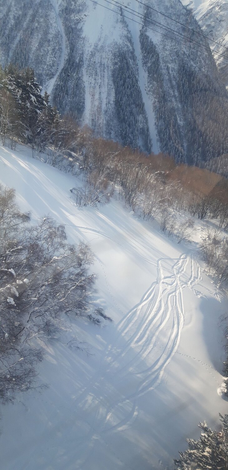 Photo #13436166