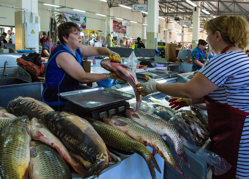 Фотография автора Марина Ватанская