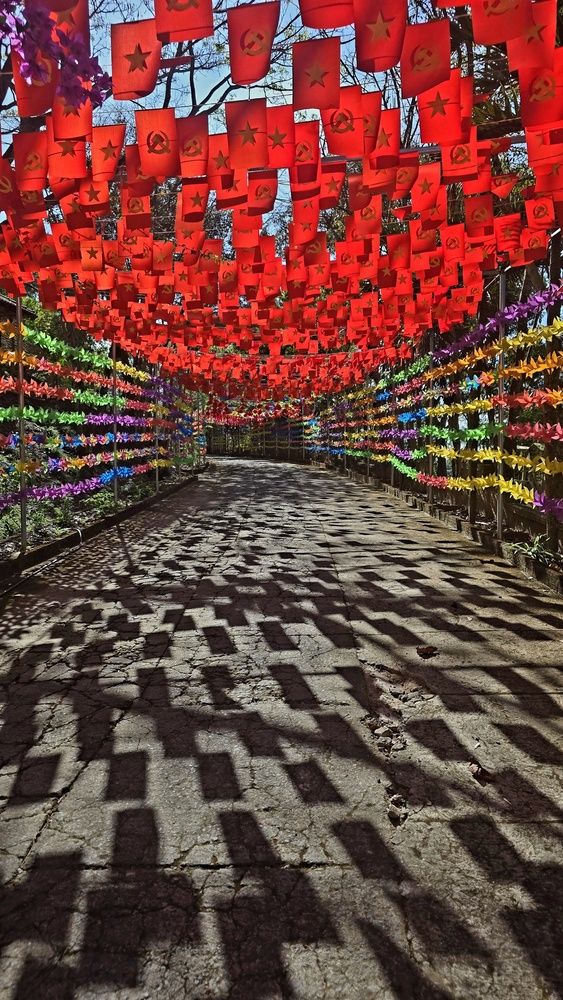 Фотография автора Олеся Безлепкина