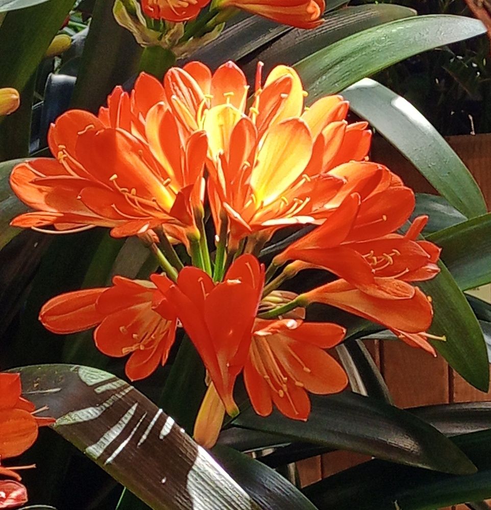 Photograph by Sergey Kurkov-Tarkovsky