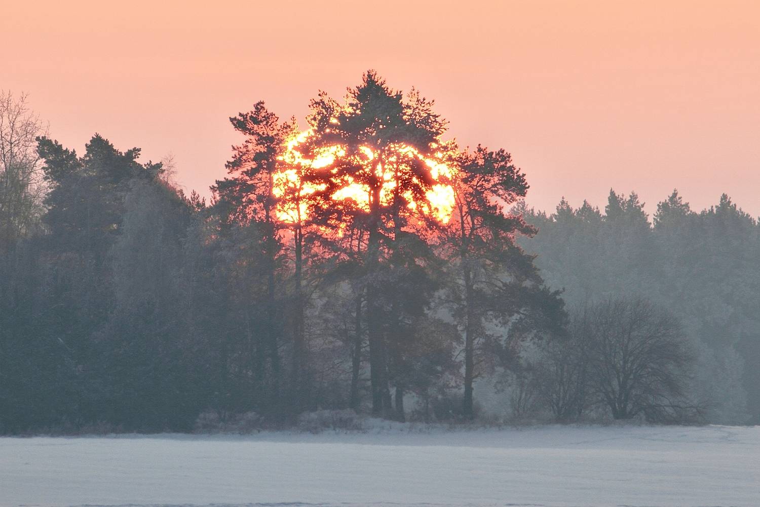 Морозный апельсин.