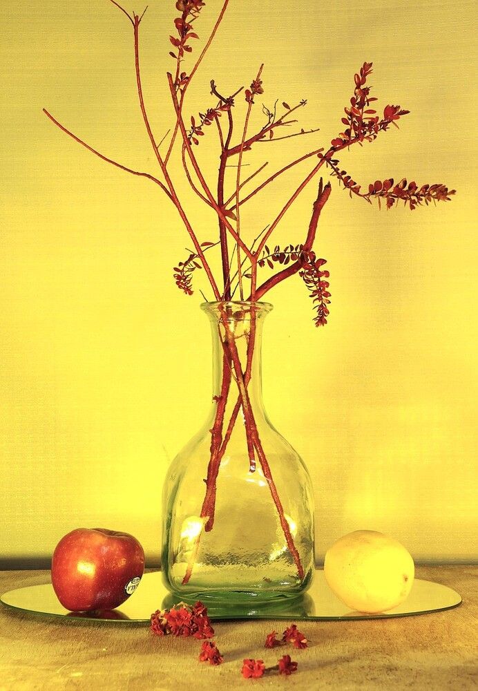 Photograph by Merav Zuberman Perkal