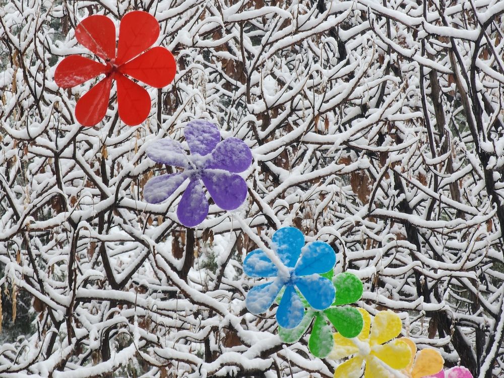 Photograph by Anna Semenova