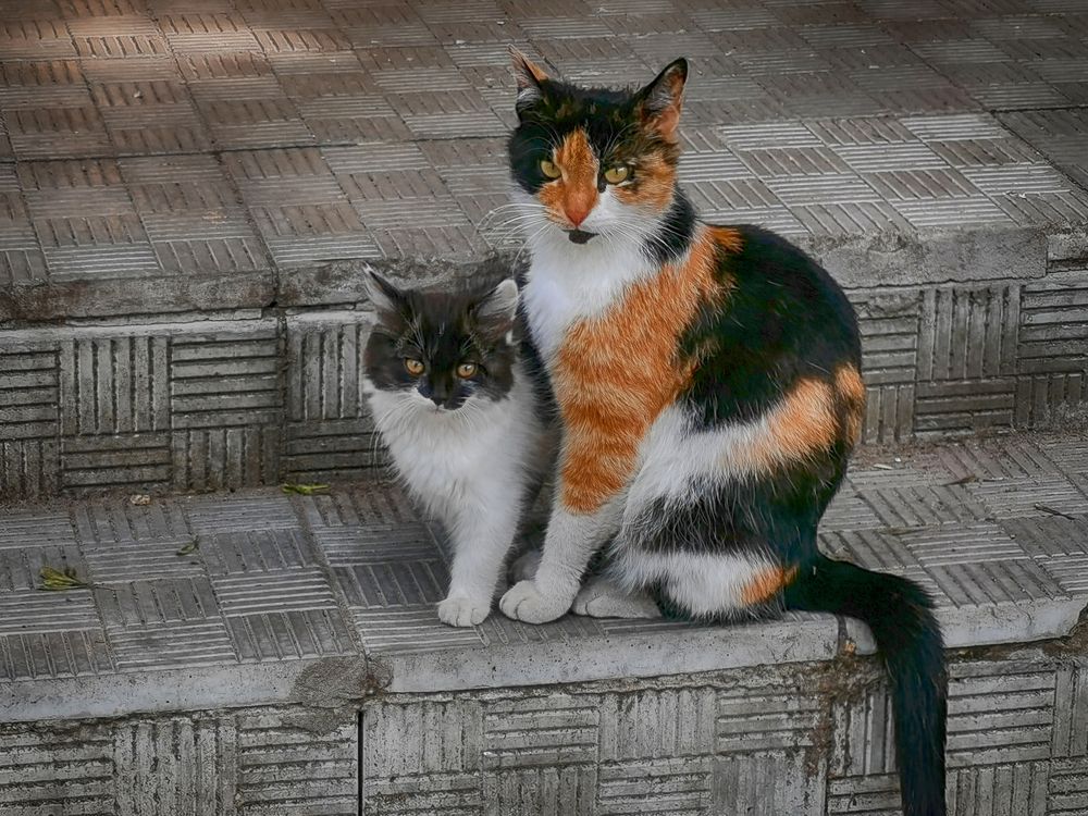 Photograph by Валерий Цуркан