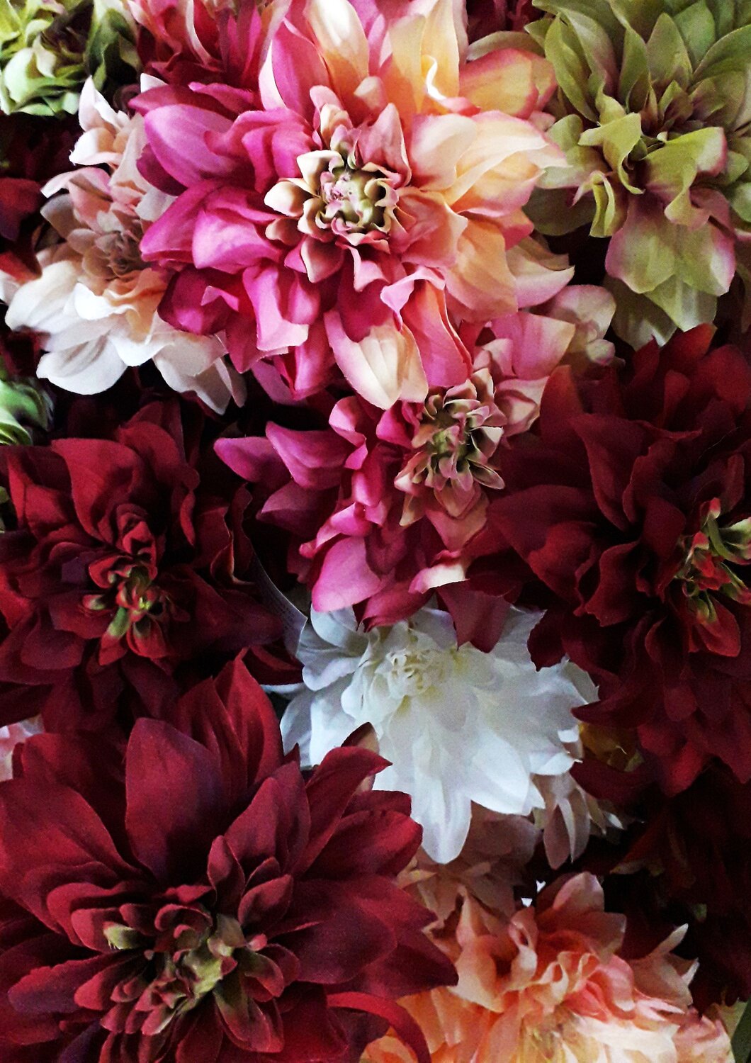 Photo #13436459