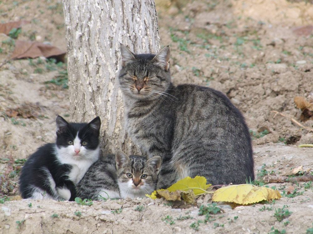 Photograph by Cengiz Yalcin