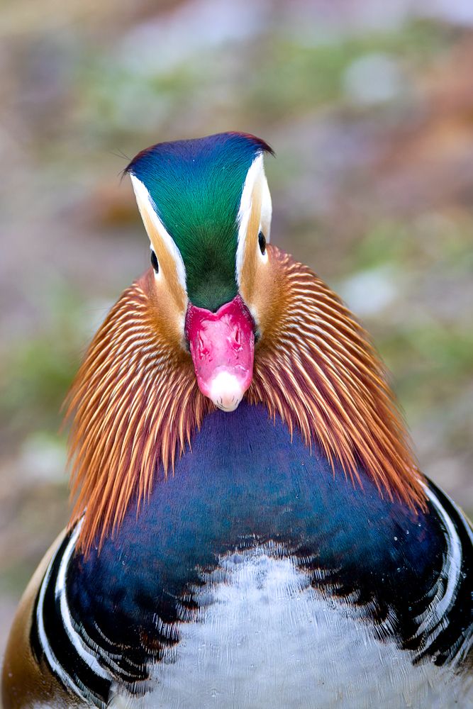 Photograph by Вера Машина