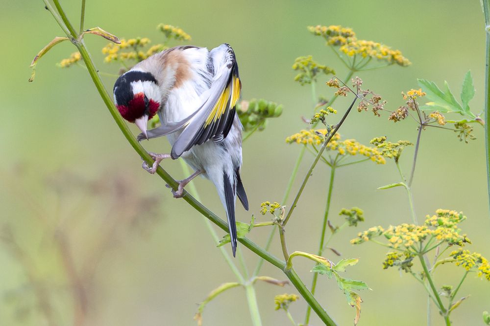 Photograph by Вера Машина