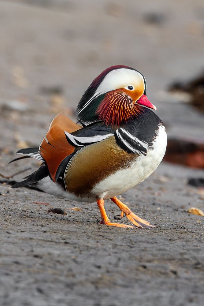 Photograph by Вера Машина