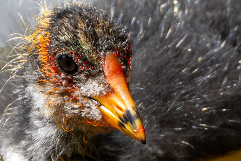 Photograph by Вера Машина