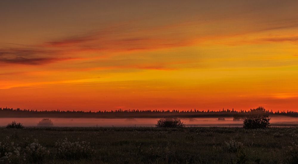 Photograph by Анна Акименко