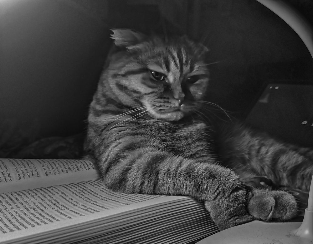 Photograph by Валерий Цуркан