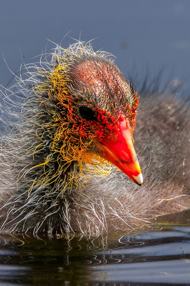 Photograph by Вера Машина