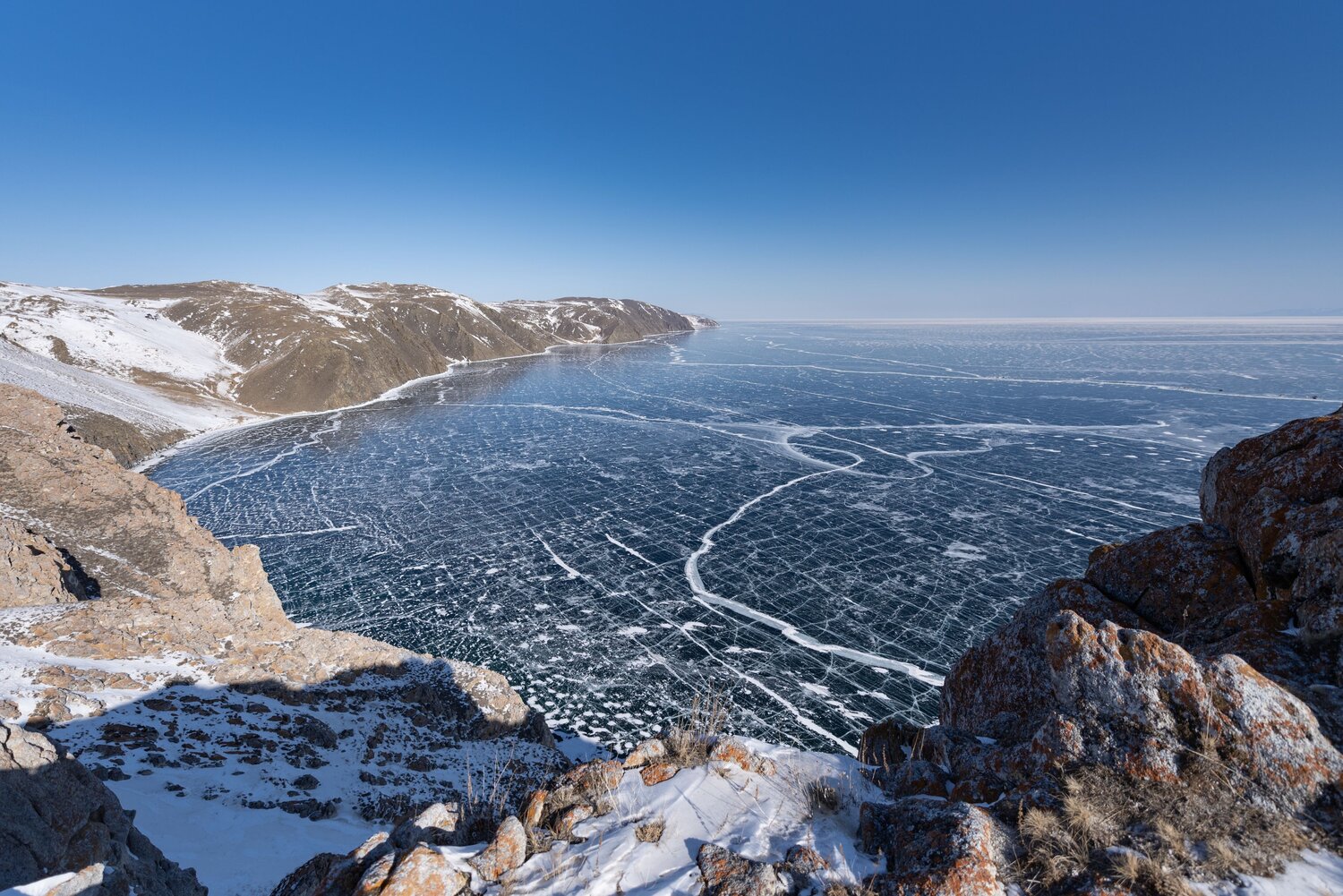 Photo #13436715