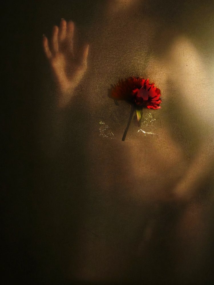 Фотография автора Наталья Силантьева