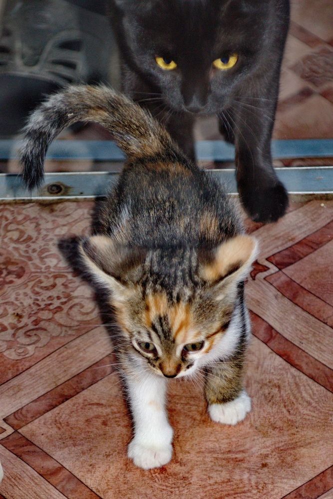 Photograph by Вакулина Марина