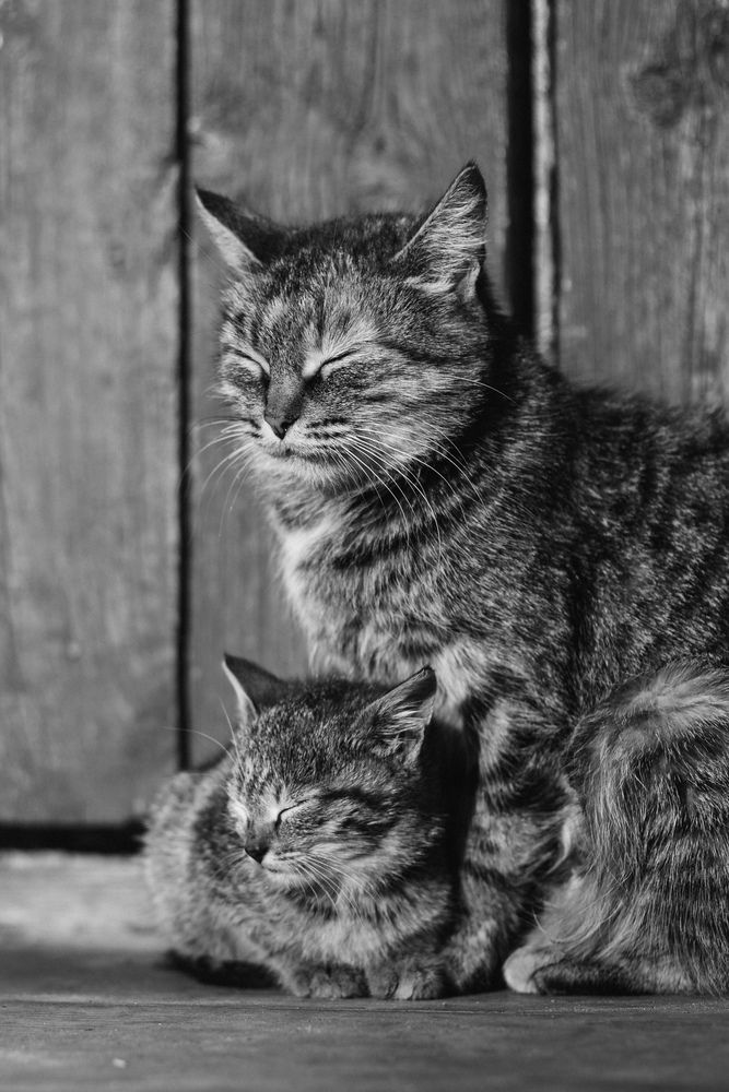 Photograph by Елена Копылова