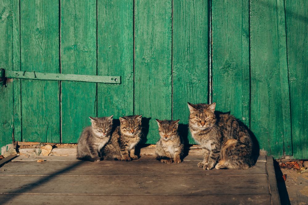 Photograph by Елена Копылова