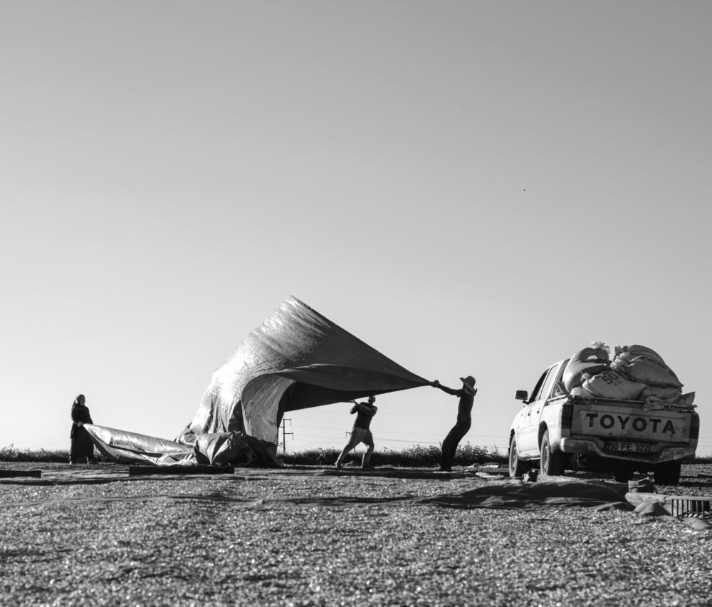 Photograph by MOJDEH NOROUZI